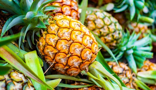 Ananas